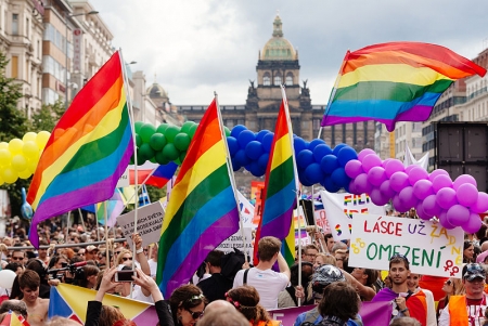 Палата депутатов Чехии одобрила закон об однополых браках